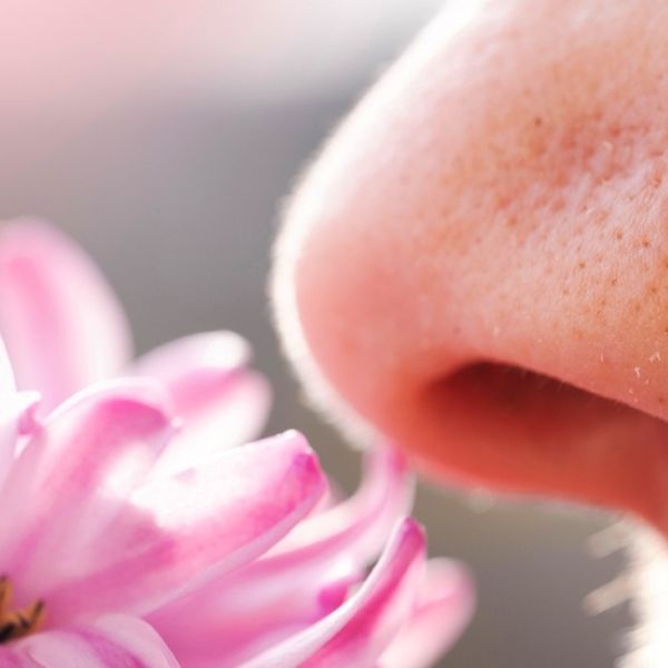 Прорыв или иллюзия? Ученые создали устройство, позволяющее людям без обоняния различать запахи