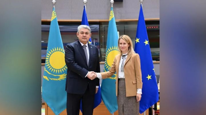 Казахстан и ЕС обозначили новые приоритеты сотрудничества