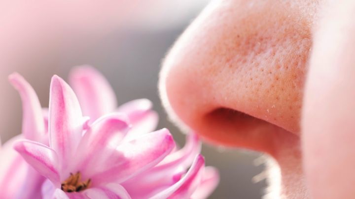 Прорыв или иллюзия? Ученые создали устройство, позволяющее людям без обоняния различать запахи