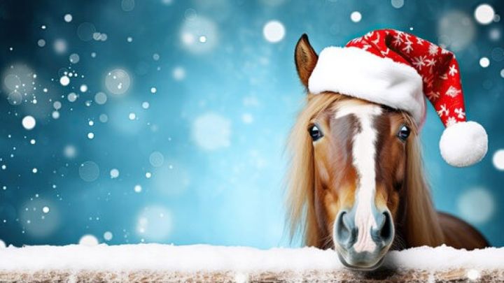 Ученые рассказали о пользе кумыса, иппотерапии и психологии сна с лошадьми в преддверии 2026 года