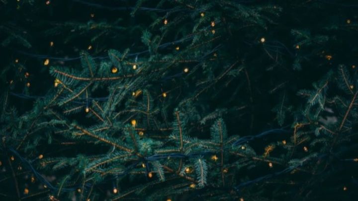 Что такое «синдром новогодней елки» и как его не допустить