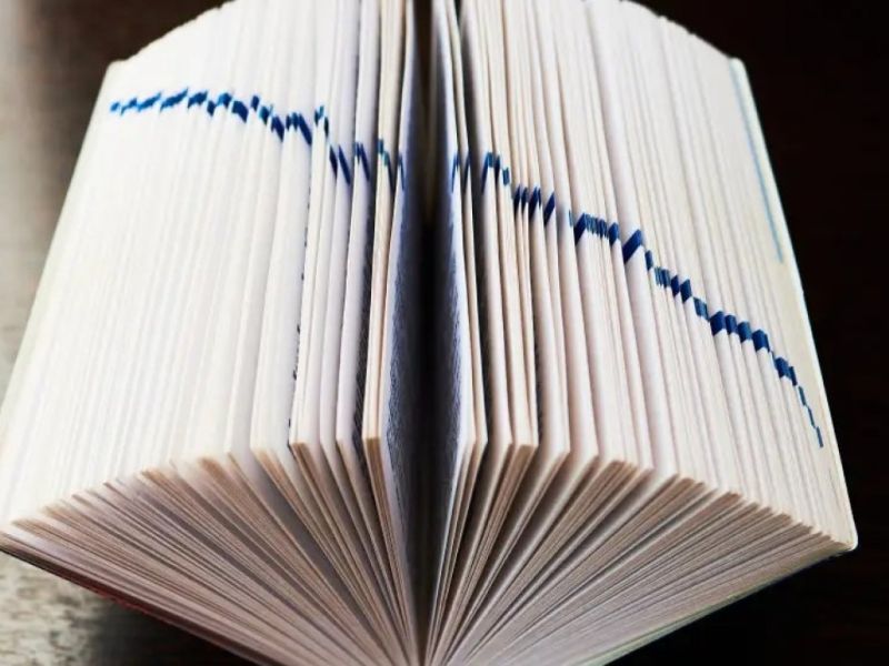 Оксфордский словарь выбрал слово 2025 года